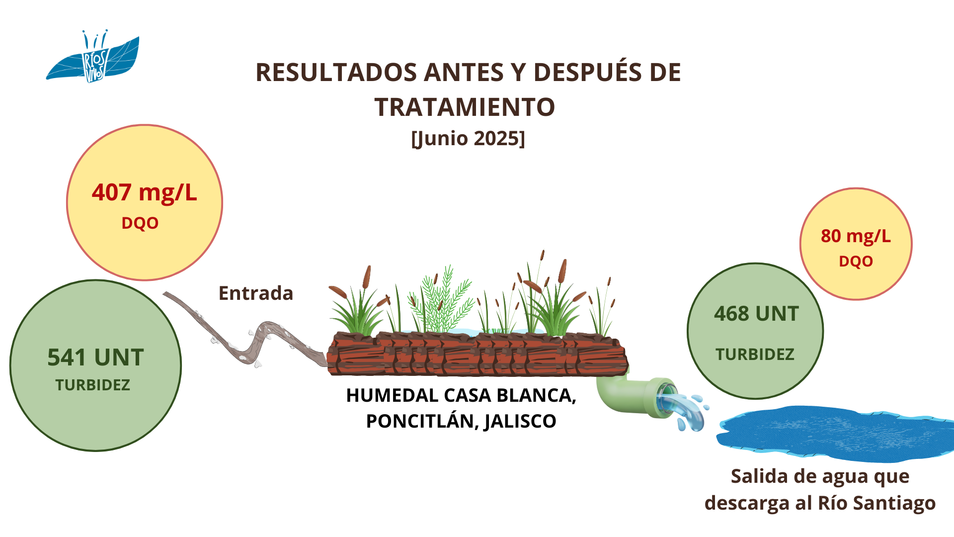 RESULTADOS ANTES Y DESPUÉS DE TRATAMIENTO