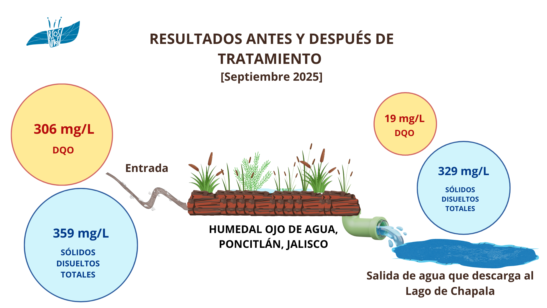 RESULTADOS ANTES Y DESPUÉS DE TRATAMIENTO