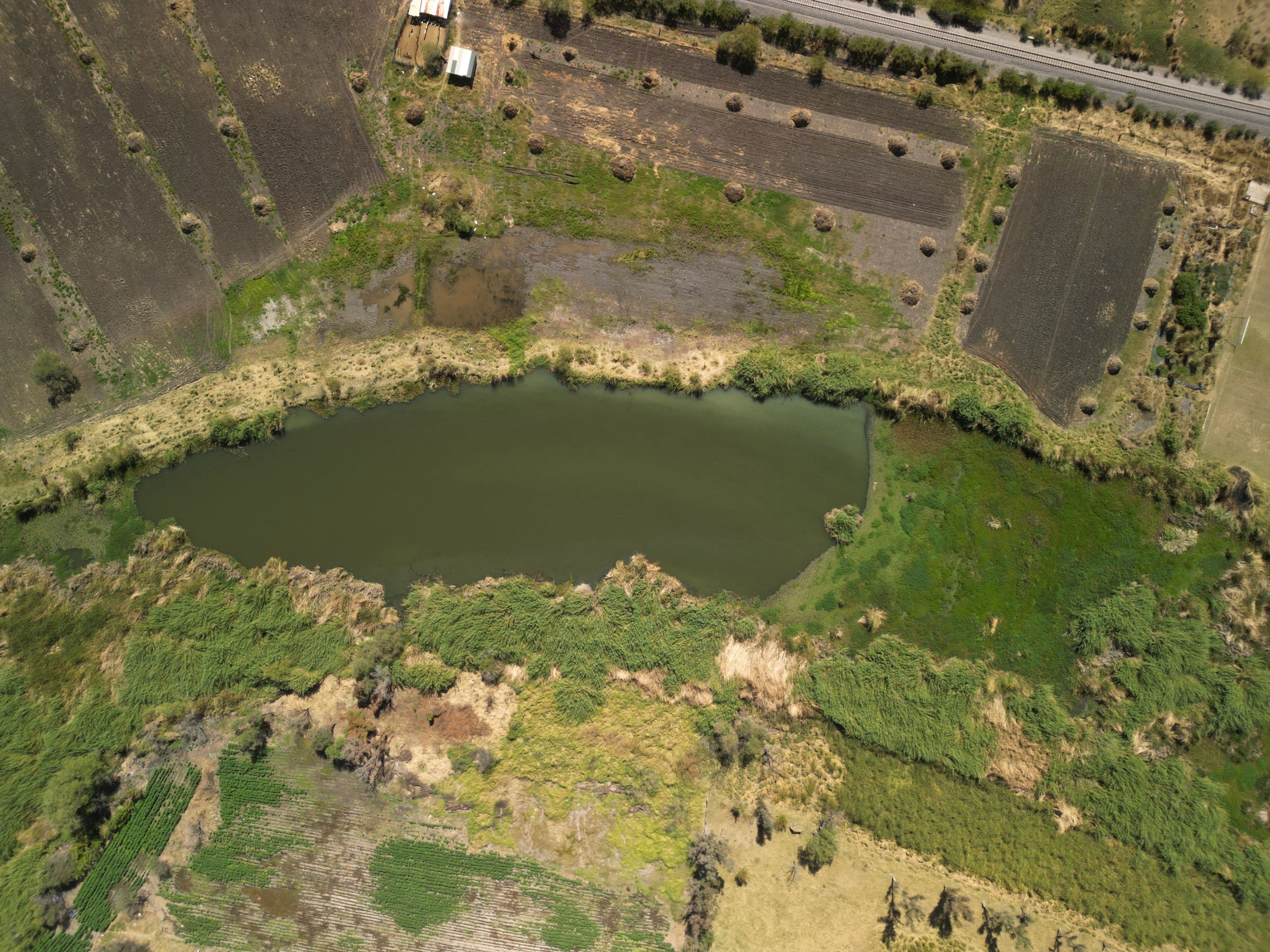 Imagen del carrusel 2