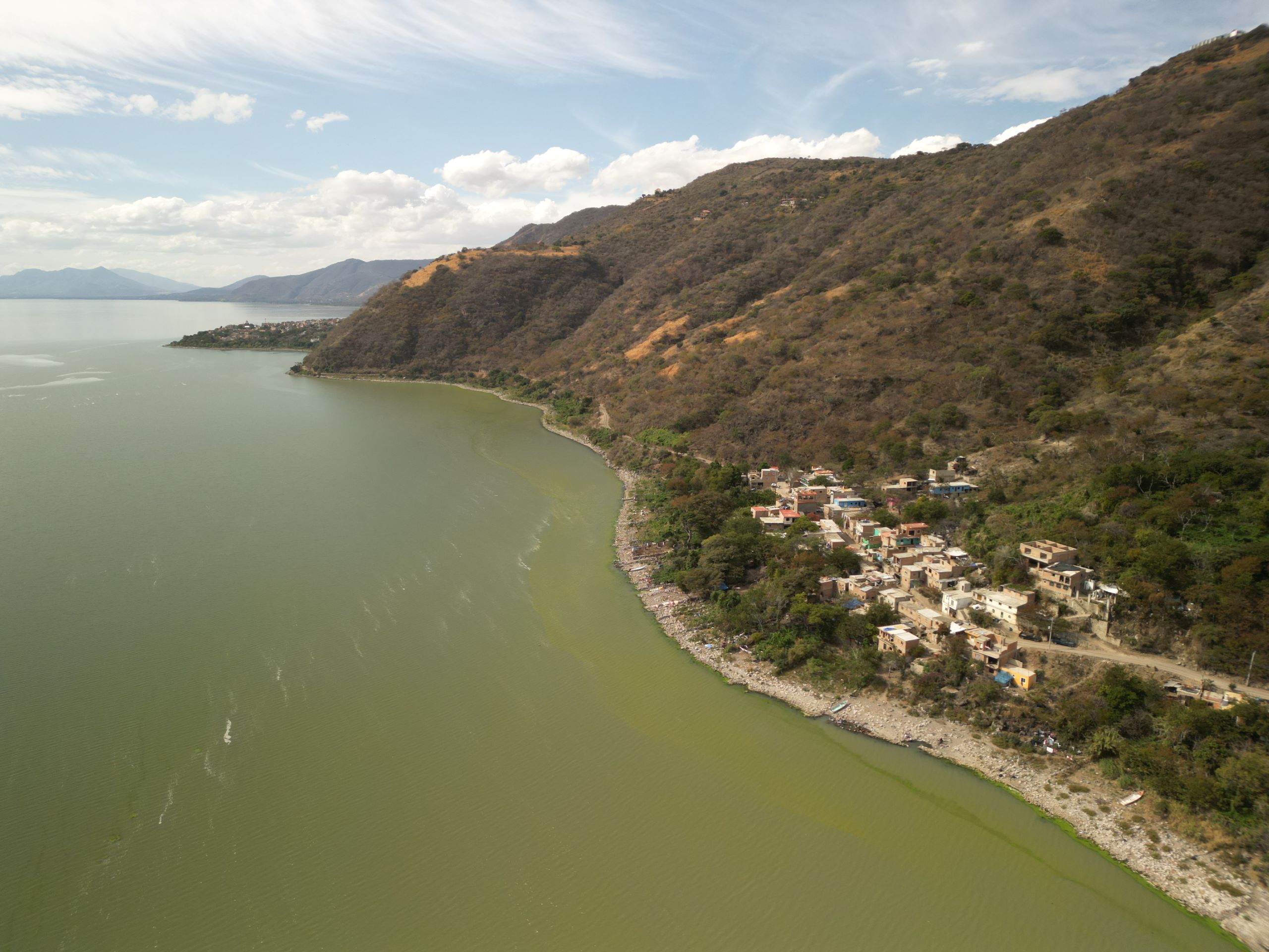 Imagen del carrusel 5