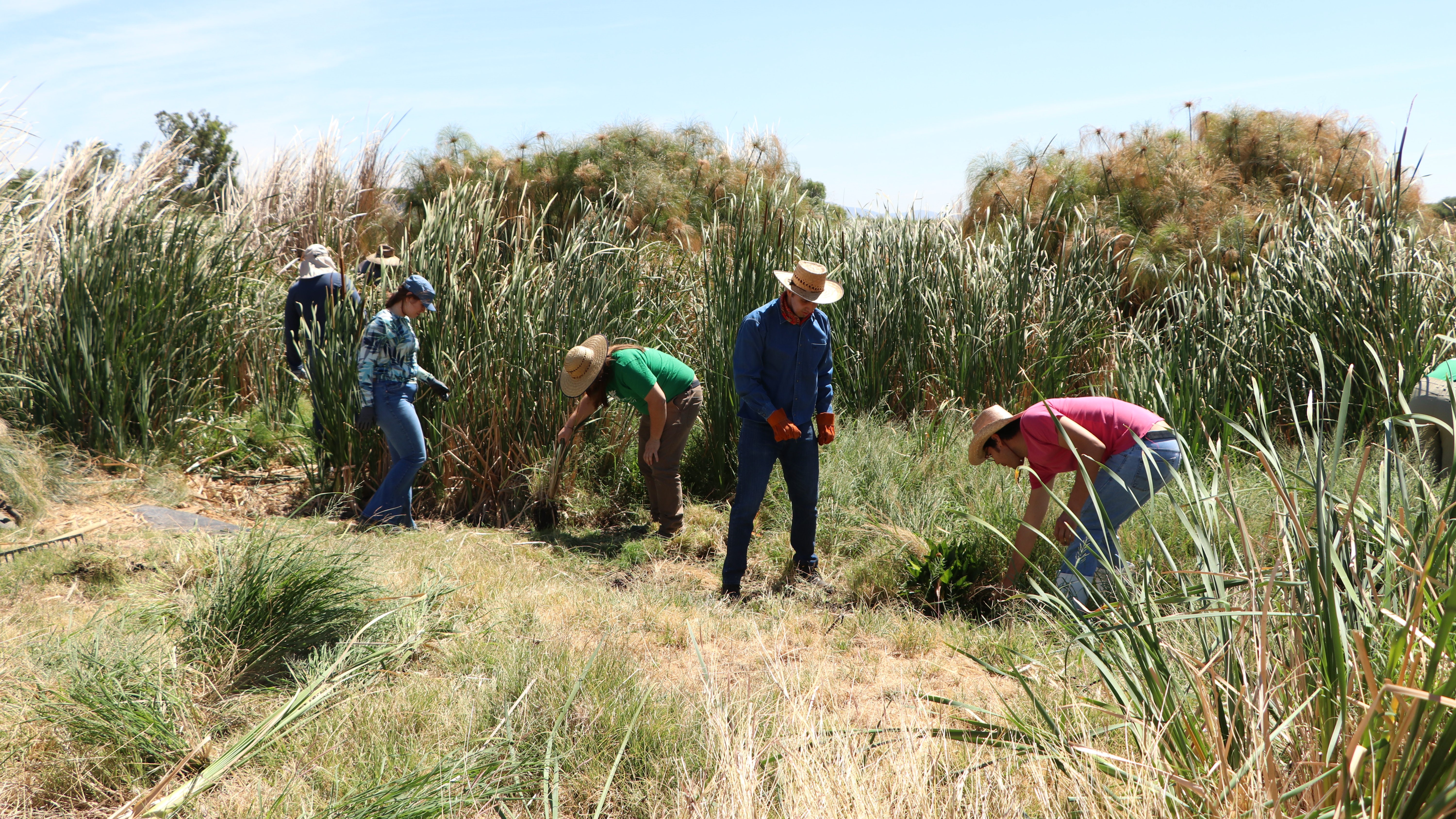 Comunidad de Casa Blanca