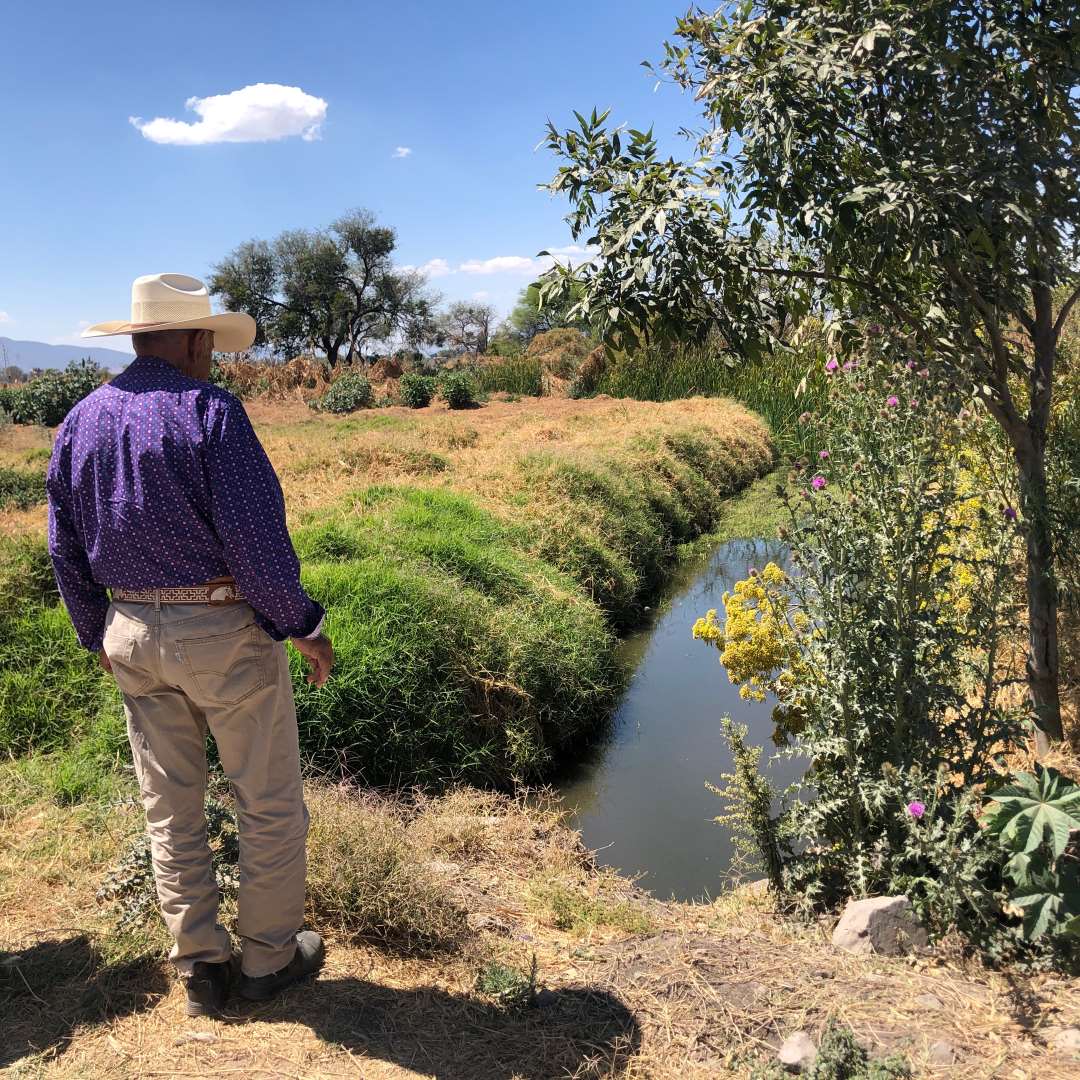 Comunidad de La Noria