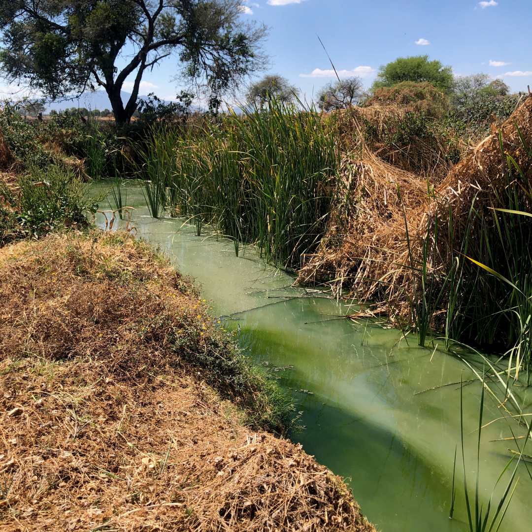 Comunidad de La Noria