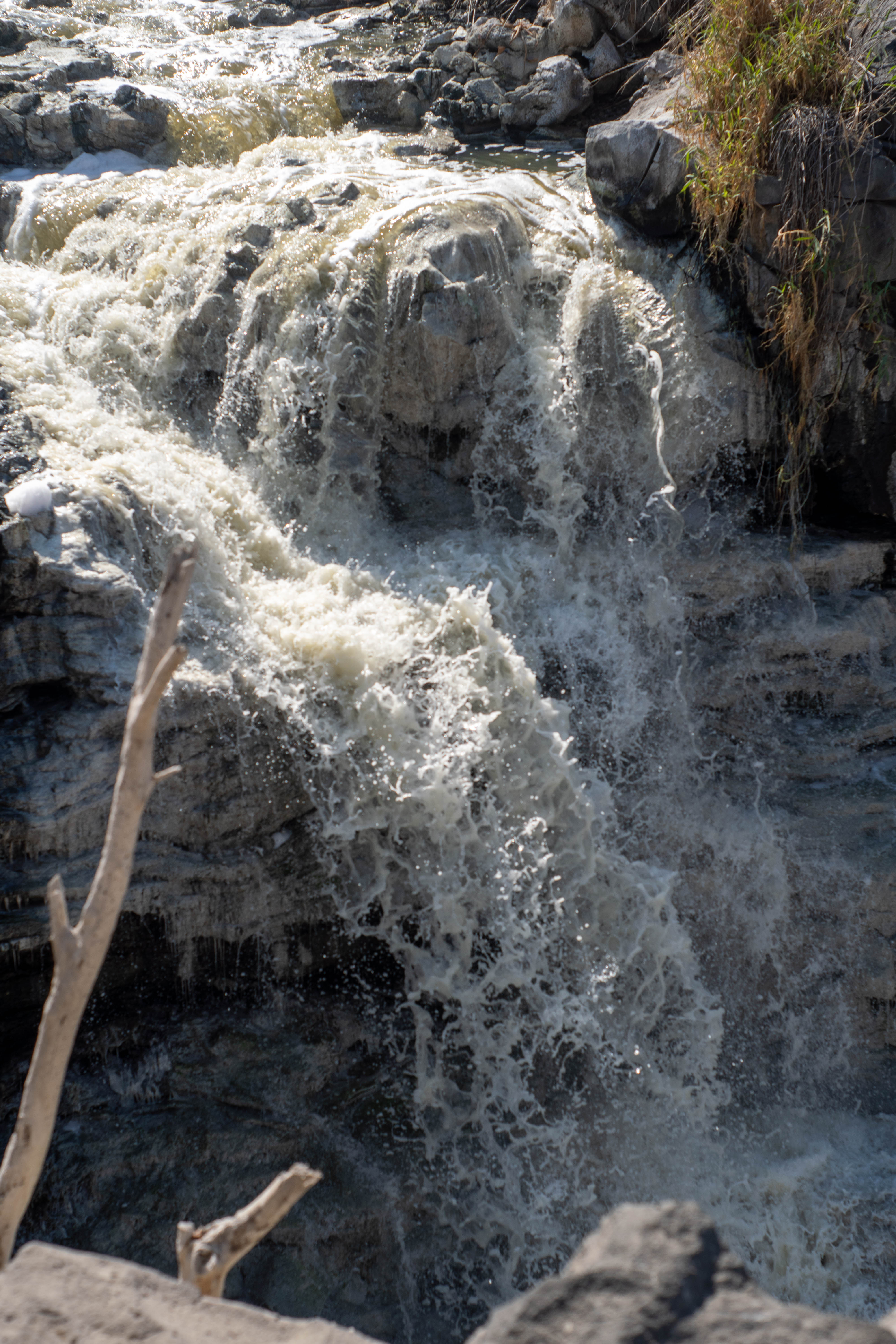 Comunidad de Cabecera Municipal El Salto
