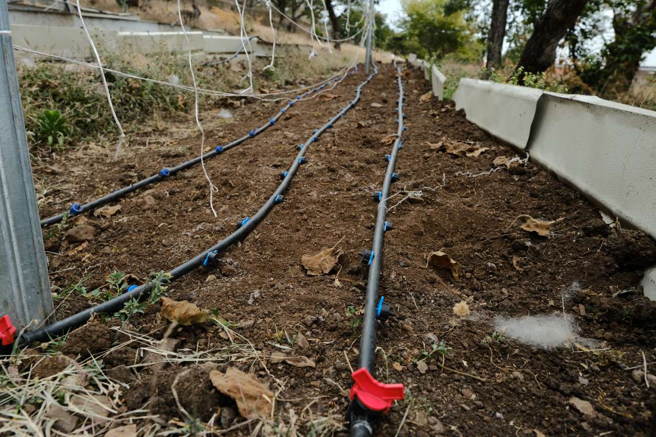 Comunidad de San Luis de Agua Caliente